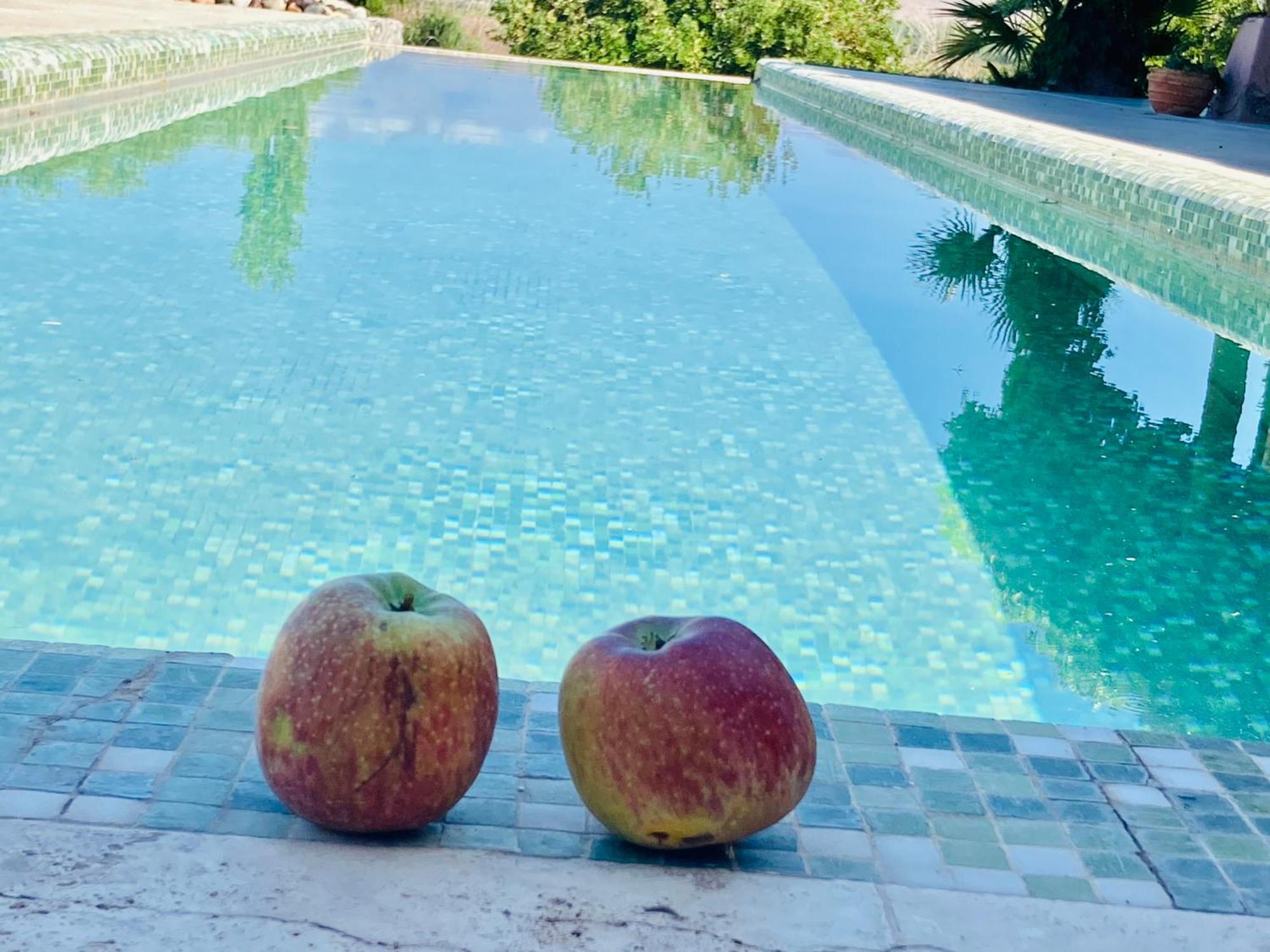 Finca Tierra Calma Casa 1 Barreal Eksteriør bilde